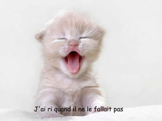 J'ai ri quand il ne le fallait pas 