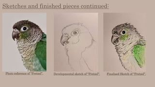 Sketches and finished pieces continued:
Photo reference of “Pretzel”. Developmental sketch of “Pretzel”. Finalised Sketch of “Pretzel”.
 