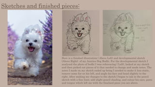 Sketches and finished pieces:
Here is a finished illustration ( Above Left) and developmental sketch
(Above Right) of my Aunties Dog Bodhi. For the developmental sketch I
analysed the photo of bodhi I was referencing ( Left), looked at my sketch
and then picked out pieces of it that needed to change and made notes. The
notes I made on my sketch ended up being I needed to make it less static,
remove some fur on his left, and angle his face and head slightly to the
right. After making my changes to the sketch I began to ink in the pencil
sketch with a fine liner, add slight pencil shading, and colour his ears, paws
and tongue which left me with the finalised piece you see above.
 