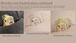 Sketches and finished pieces continued:
The lovely Bodhi was actually part of a series of animal studies I was doing, you can see here that
I followed a similar process I did for bodhi for the two other animals I decided to draw, sketching
from a photo reference then finalising the piece.
Photo reference of “Weenie”.
Developmental sketch of “Weenie”.
Finalised Sketch of “Weenie”.
 