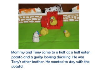 Mommy and Tony came to a halt at a half eaten
potato and a guilty looking duckling! He was
Tony’s other brother. He wanted to stay with the
potato!
 