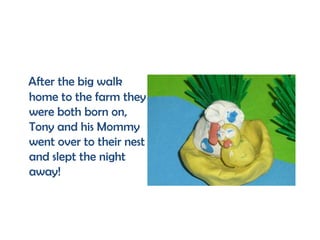 After the big walk
home to the farm they
were both born on,
Tony and his Mommy
went over to their nest
and slept the night
away!
 