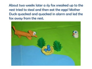 About two weeks later a sly fox sneaked up to the
nest tried to steal and then eat the eggs! Mother
Duck quacked and quacked in alarm and led the
fox away from the nest.
 