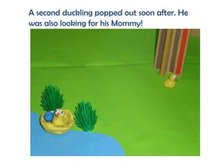 A second duckling popped out soon after. He
was also looking for his Mommy!
 