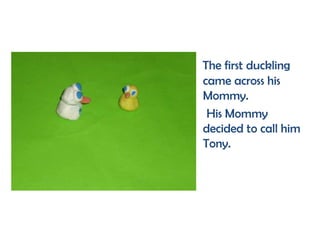 The first duckling
came across his
Mommy.
His Mommy
decided to call him
Tony.
 