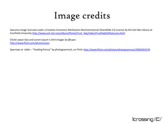 Image credits
Satsuma image licensed under a Creative Commons Attribution-NonCommercial-ShareAlike 2.0 License by the Soil-Net Library at
Cranfield University http://www.soil-net.com/album/Plants/Fruit_Veg/slides/FruitVeg%20Satsuma.html

Cliché swear box and Lorem Ipsum t-shirt images by @cpev
http://www.flickr.com/photos/cpev

Sparrows at table – “Feeding frenzy” by photogramma1, on Flickr http://www.flickr.com/photos/photogramma1/4002693159
 