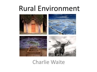 Rural Environment
Charlie Waite
 
