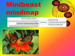 Minibeast mindmap 