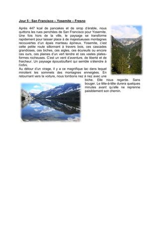 Jour 5 : San Francisco – Yosemite – Fresno

Après 447 kcal de pancakes et de sirop d’érable, nous
quittons les rues penchées de San Francisco pour Yosemite.
Une fois hors de la ville, le paysage se transforme
rapidement pour laisser place à de majestueuses montagnes
recouvertes d’un épais manteau épineux. Yosemite, c’est
cette petite route sillonnant à travers bois, ces cascades
grandioses, ces biches, ces aigles, ces écureuils ou encore
ces ours, ces plaines d’un vert tendre et ces vastes plates-
formes rocheuses. C’est un vent d’aventure, de liberté et de
fraicheur. Un paysage époustouflant qui semble s’étendre à
l’infini.
Au détour d’un virage, il y a ce magnifique lac dans lequel
miroitent les sommets des montagnes enneigées. En
retournant vers la voiture, nous tombons nez à nez avec une
                                             biche. Elle nous regarde. Sans
                                             bouger. Le tête-à-tête durera quelques
                                             minutes avant qu’elle ne reprenne
                                             paisiblement son chemin.
 