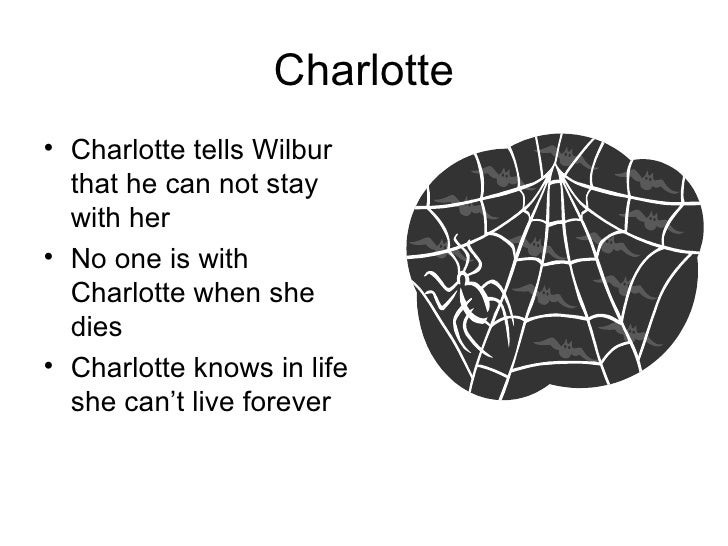 Charlotte's  Point of View Power Point