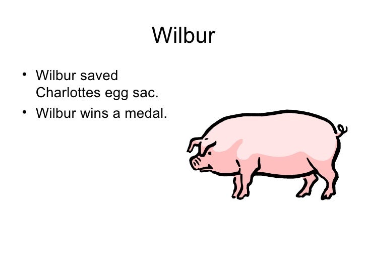 Charlotte's  Point of View Power Point