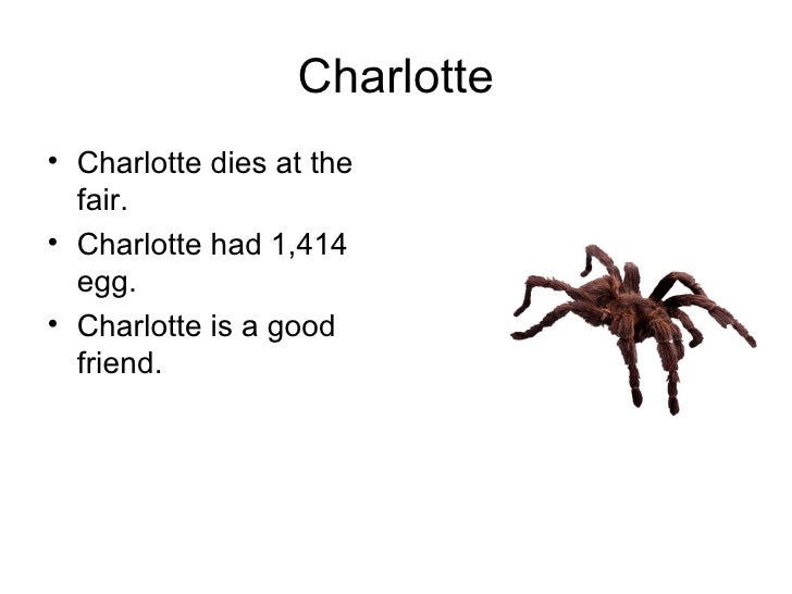 Charlotte's  Point of View Power Point