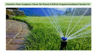Charlotte's Water Symphony: Choose The Wizard of SOD for Irrigation Installation Charlotte NC
 