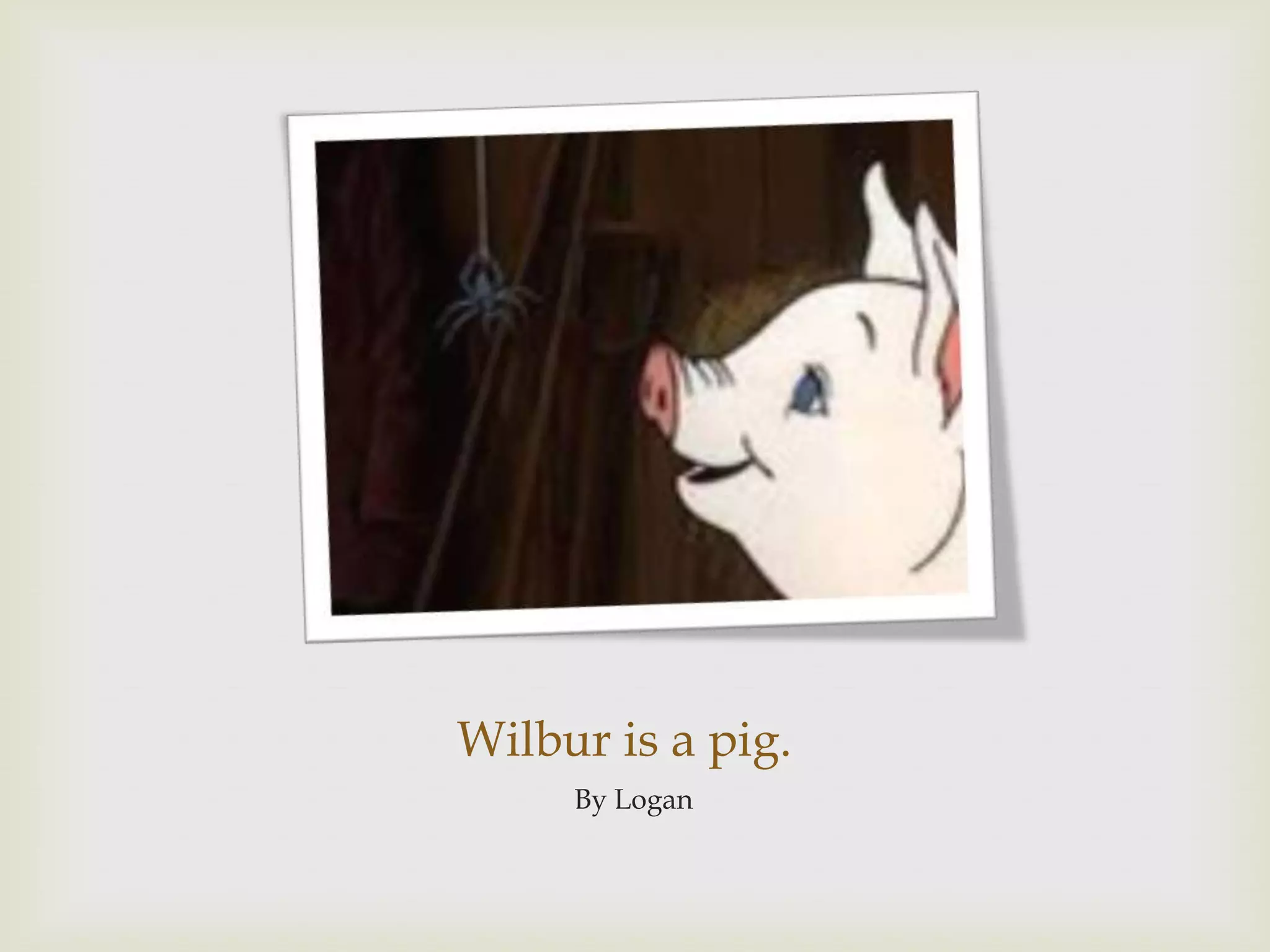 Wilbur is a pig.By Logan