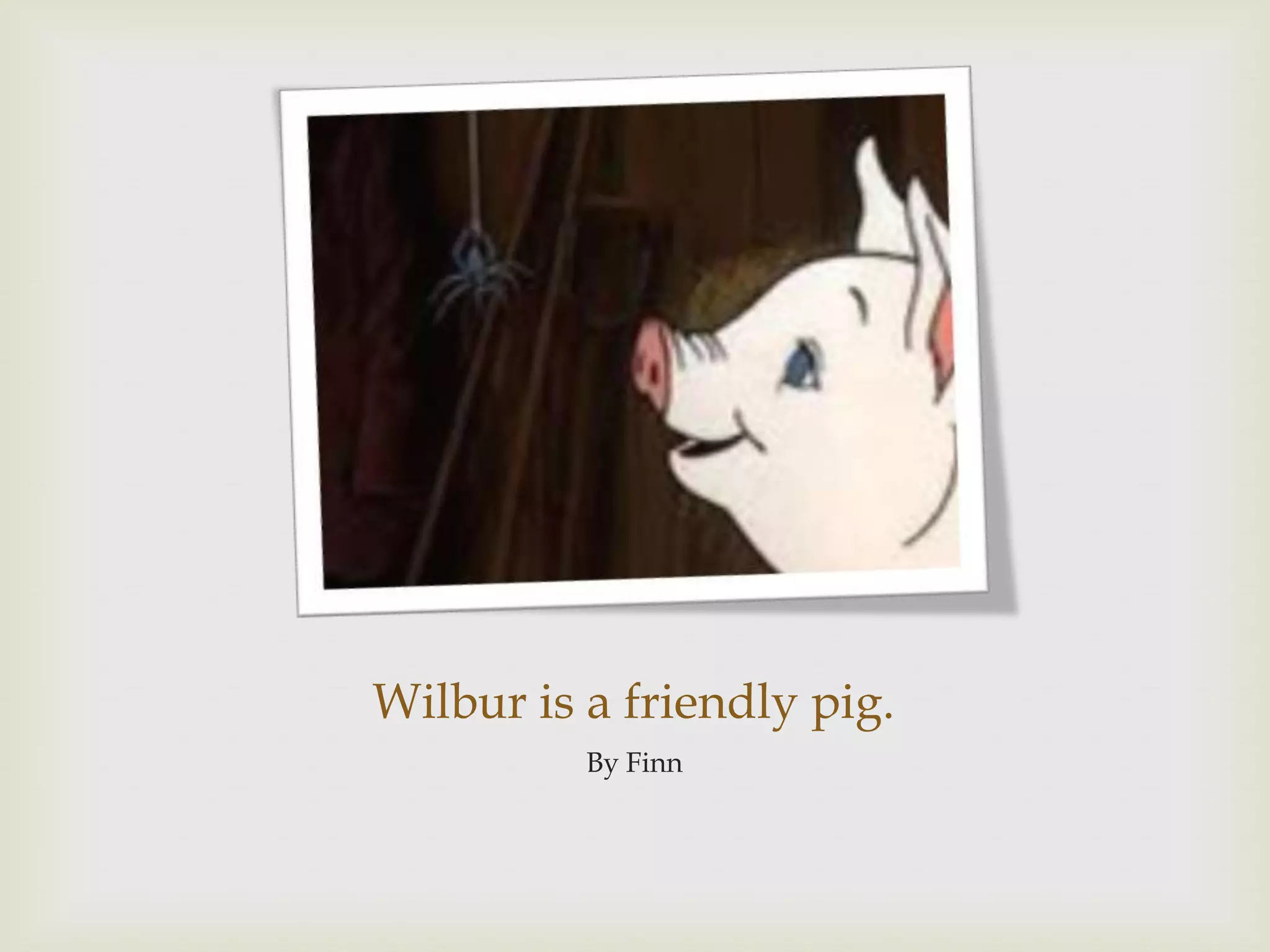 Wilbur is a friendly pig.By Finn