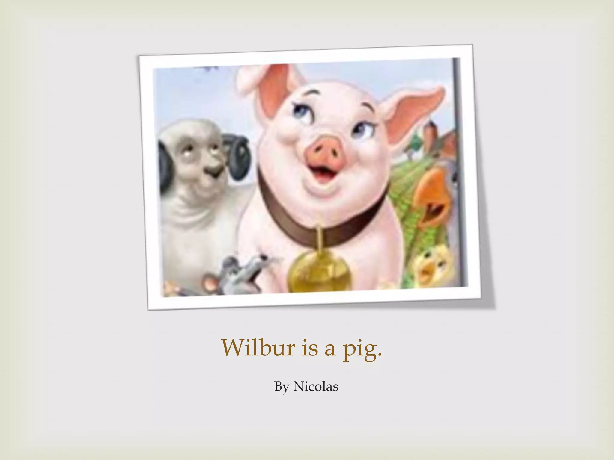 Wilbur is a pig.By Nicolas