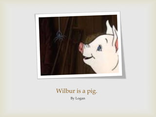 Wilbur is a pig.By Logan