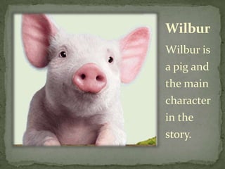 WilburWilbur is a pig and the main character in the story.