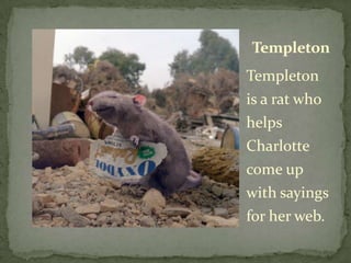 TempletonTempleton is a rat who helps Charlotte come up with sayings for her web.