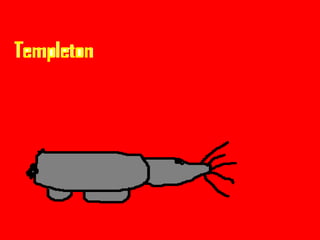 Charlottes Web Characters