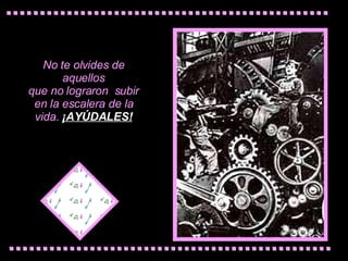 No te   olvides de aquellos que no  lograron  subir  e n la escalera de la vida.   ¡AYÚDALES! 