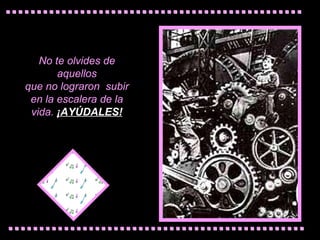 No te   olvides de aquellos que no  lograron  subir  e n la escalera de la vida.   ¡AYÚDALES! 