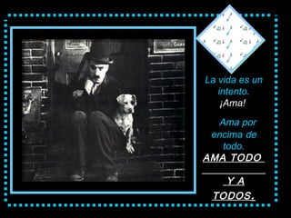 La vida  es un intento. ¡Ama!       Ama por  encima  de  todo . A MA TODO   Y A TODOS . 