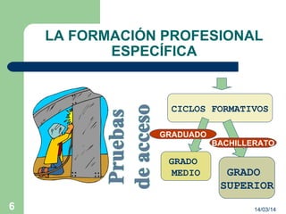 14/03/146
LA FORMACIÓN PROFESIONAL
ESPECÍFICA
CICLOS FORMATIVOS
GRADO
MEDIO GRADO
SUPERIOR
GRADUADO
BACHILLERATO
 