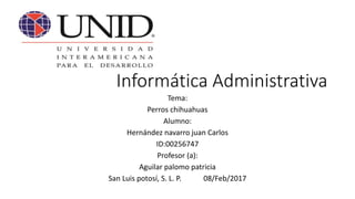 Informática Administrativa
Tema:
Perros chihuahuas
Alumno:
Hernández navarro juan Carlos
ID:00256747
Profesor (a):
Aguilar palomo patricia
San Luis potosí, S. L. P. 08/Feb/2017
 