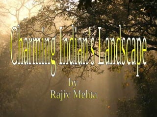 Charming Indian's Landscape by Rajiv Mehta 