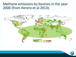 Charmley Activity data collection livestock systems Nov 10 2014