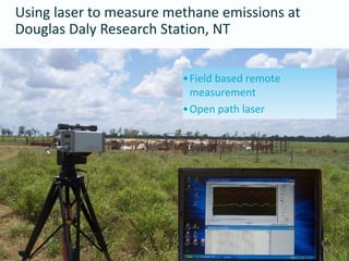 Charmley Activity data collection livestock systems Nov 10 2014