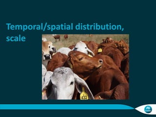 Charmley Activity data collection livestock systems Nov 10 2014