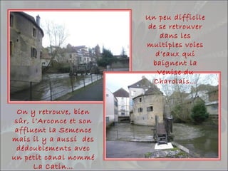 Un peu difficile
de se retrouver
dans les
multiples voies
d’eaux qui
baignent la
Venise du
Charolais…
On y retrouve, bien
sûr, l’Arconce et son
affluent la Semence
mais il y a aussi des
dédoublements avec
un petit canal nommé
La Catin…
 