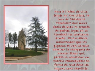 Face à l’hôtel de ville,
érigée au XVe siècle, la
tour de Charles le
Téméraire aux murs
épais de 2,10 m creusés
de petites loges où se
tenaient les guetteurs
armés. Elle n’abrite
maintenant que les
pigeons et l’on ne peut
admirer la charpente du
dernier étage qui,
paraît-il, constitue un
travail remarquable en
forme de roue dont les
rayons sont chevillés.
 