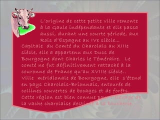 L’origine de cette petite ville remonte
à la Gaule indépendante et elle passa
aussi, durant une courte période, aux
Rois d’Espagne au IVe siècle…
Capitale du Comté du Charolais au XIIIe
siècle, elle a appartenu aux Ducs de
Bourgogne dont Charles le Téméraire. Le
comté ne fut définitivement rattaché à la
couronne de France qu’au XVIIIe siècle..
Ville méridionale de Bourgogne, elle s’étend
en pays Charolais-Brionnais, entourée de
collines couvertes de bocages et de forêts.
Cette région est bien connue pour l’élevage de
la vache charolaise destinée à la boucherie.
 