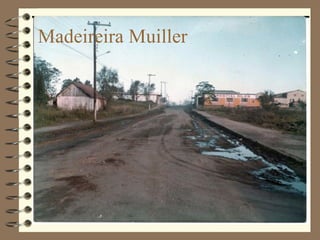 Madeireira Muiller 