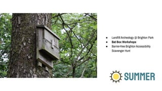 SUMMER
● Landﬁll Archeology @ Brighton Park
● Bat Box Workshops
● Barrier-free Brighton Accessibility
Scavenger Hunt
 