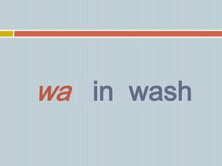 wa in wash
 