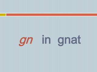 gn in gnat
 