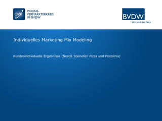 Individuelles Marketing Mix Modeling
Kundenindividuelle Ergebnisse (Nestlé Steinofen Pizza und Piccolinis)
 