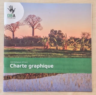 Charte Graphique - Défi Belgique Afrique