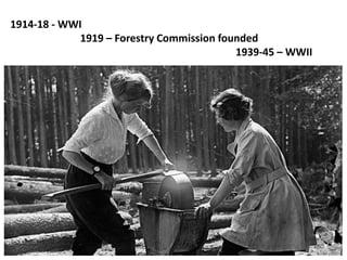 1914-18 - WWI
1919 – Forestry Commission founded
1939-45 – WWII
 