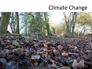 Climate Change
 