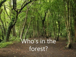 Who’s in the
forest?
 