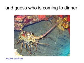 and guess who is coming to dinner! 