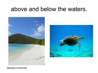 above and below the waters. 