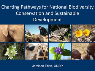 Charting Pathways for National Biodiversity
       Conservation and Sustainable
              Development




              Jamison Ervin, UNDP
 