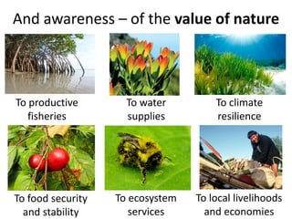 And awareness – of the value of nature



To productive        To water         To climate
   fisheries         supplies         resilience




To food security   To ecosystem   To local livelihoods
  and stability       services      and economies
 