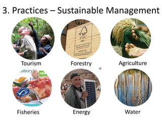 3. Practices – Sustainable Management




    Tourism     Forestry   Agriculture




   Fisheries    Energy       Water
 